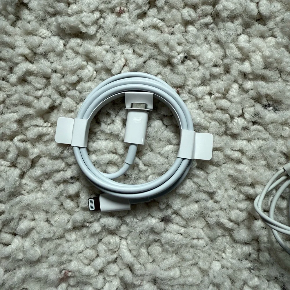 Apple iPhone EarPods and Charger